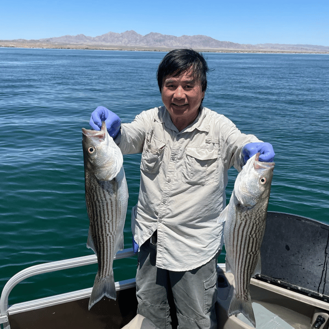 Lake Havasu Fishing Adventures: Cast, Catch, and Chill