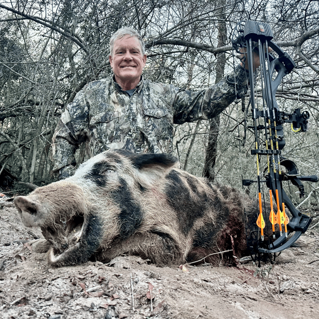 Hog Hunting in Groesbeck, Texas