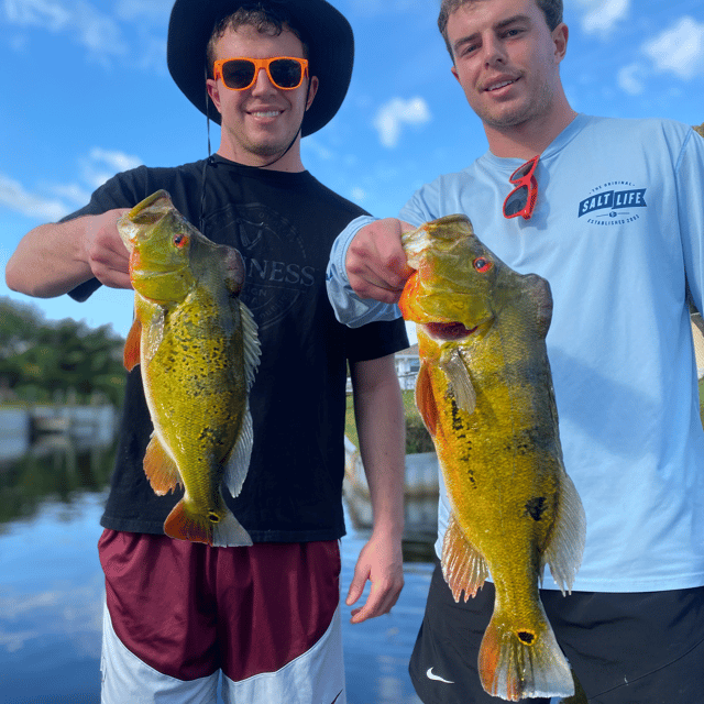 Peacock Bass Fishing in West Palm Beach, Florida