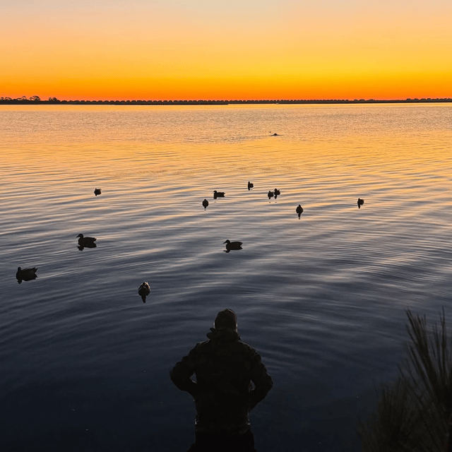 OBX Waterfowl hunting