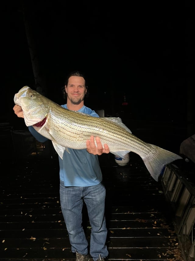 Smith Mountain Lake Striped Bass