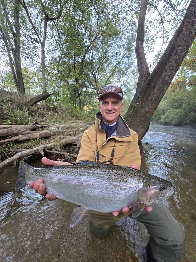 Half day fly fishing experience