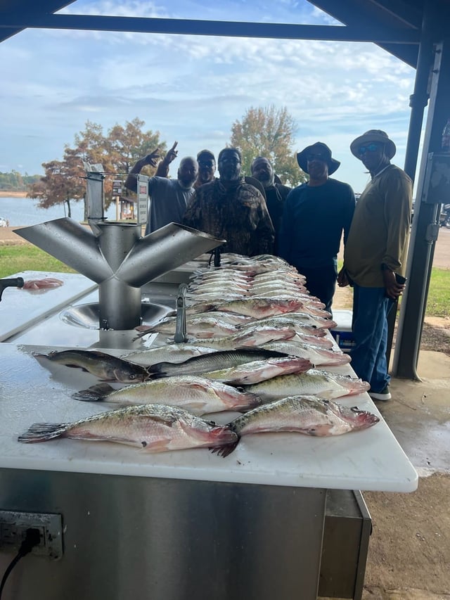 Mississippi's Premier Crappie Fishing at Grenada/Enid/Sardis