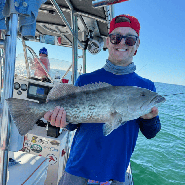 Crystal River Offshore Trip (Up to 30 Miles)