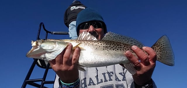 Speckled Trout Fishing in Jacksonville, Florida