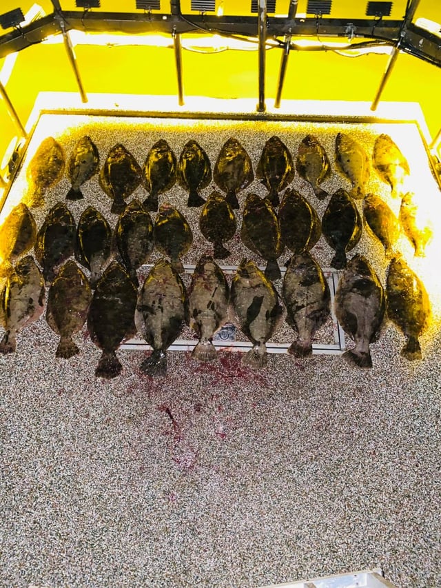 Flounder Fishing in Galveston, Texas