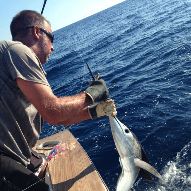 Offshore Marlin Special