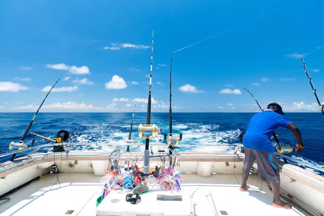 The 15 Best Deep Sea Fishing Charters