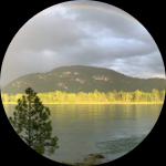 Profile photo of Captain Experiences guide Jack Mitchell