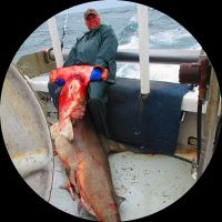 Profile photo of Captain Experiences guide Ricky