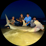 Profile photo of Captain Experiences guide Tristan