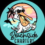 Profile photo of Captain Experiences guide Dan