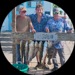Profile photo of Captain Experiences guide Mark