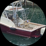 Profile photo of Captain Experiences guide Brian
