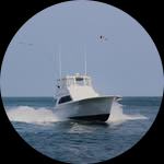 Profile photo of Captain Experiences guide Doug Bramble