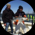 Profile photo of Captain Experiences guide Shawn