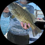 Profile photo of Captain Experiences guide Tom Arlington