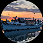 Profile photo of Captain Experiences guide David