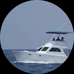 Profile photo of Captain Experiences guide John Bennett