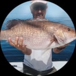 Profile photo of Captain Experiences guide Rick Marchetti