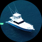 Profile photo of Captain Experiences guide Valentina Peverali