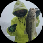 Profile photo of Captain Experiences guide Mitch