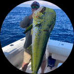 Profile photo of Captain Experiences guide Michael Fannin
