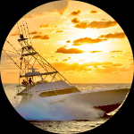 Profile photo of Captain Experiences guide Shane