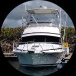 Profile photo of Captain Experiences guide Michael