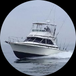 Profile photo of Captain Experiences guide George