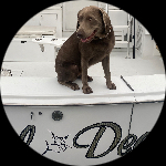 Profile photo of Captain Experiences guide Richard