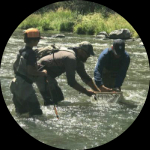 Profile photo of Captain Experiences guide Steve Avery
