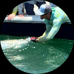 Profile photo of Captain Experiences guide Logan Hawthorne